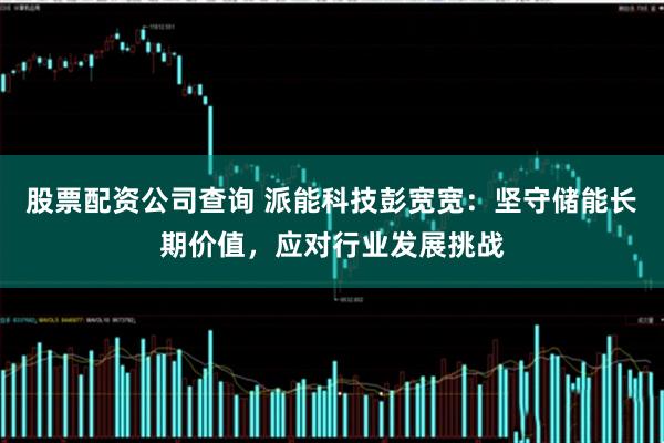 股票配资公司查询 派能科技彭宽宽：坚守储能长期价值，应对行业发展挑战