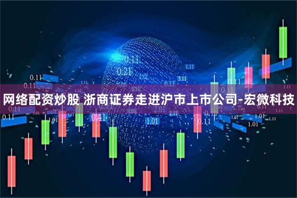 网络配资炒股 浙商证券走进沪市上市公司-宏微科技