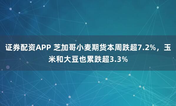 证券配资APP 芝加哥小麦期货本周跌超7.2%，玉米和大豆也累跌超3.3%