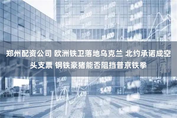 郑州配资公司 欧洲铁卫落地乌克兰 北约承诺成空头支票 钢铁豪猪能否阻挡普京铁拳